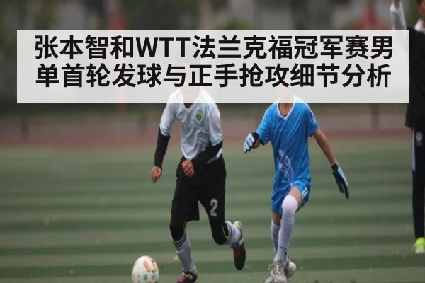 张本智和WTT法兰克福冠军赛男单首轮发球与正手抢攻细节分析